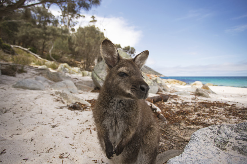 Travel Australia & New Zealand
