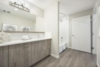 Odyssey Master Bathroom 3