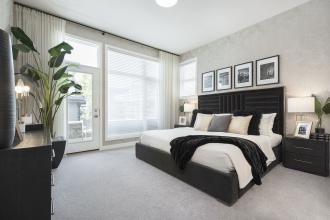 Reflection Master Suite 1